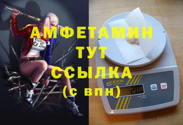 Альфа ПВП Няндома