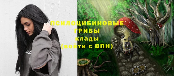 спиды Абинск