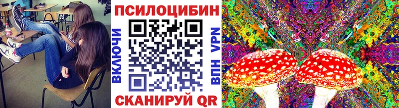 Псилоцибиновые грибы мицелий наркота Ак-Довурак
